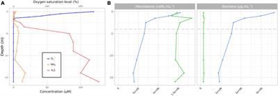 Transcriptomic insights into the dominance of two phototrophs throughout the water column of a tropical hypersaline-alkaline crater lake (Dziani Dzaha, Mayotte)